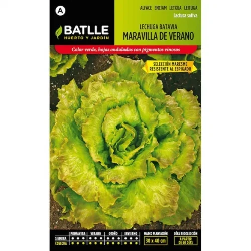 BATLLE SOBRES HORT. LECHUGA MARAVILLA MARESME BATLLE